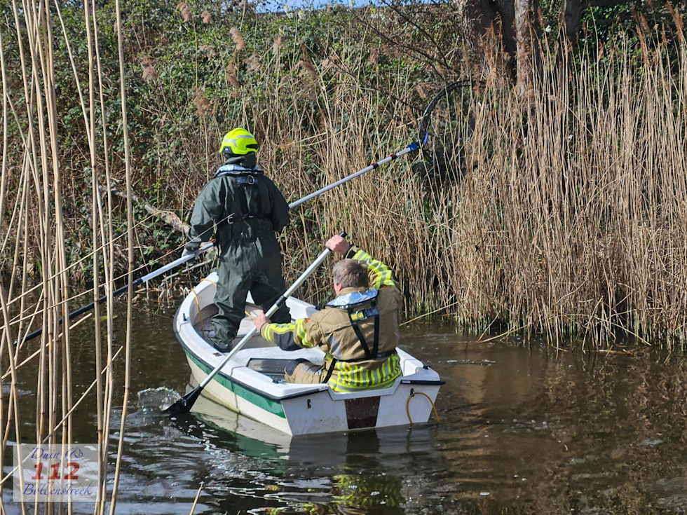 Gewonde gans is hulpdiensten te slim af in Hillegom